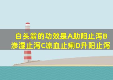 白头翁的功效是A助阳止泻B渗湿止泻C凉血止痢D升阳止泻