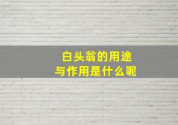 白头翁的用途与作用是什么呢