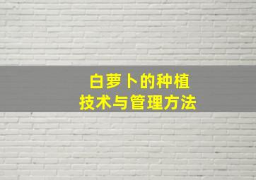 白萝卜的种植技术与管理方法