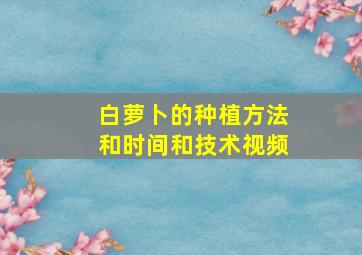 白萝卜的种植方法和时间和技术视频