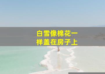 白雪像棉花一样盖在房子上