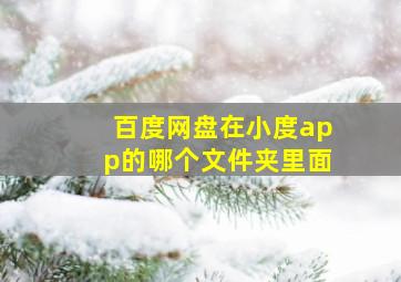 百度网盘在小度app的哪个文件夹里面