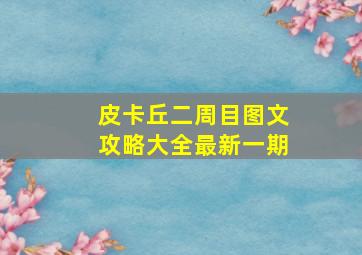 皮卡丘二周目图文攻略大全最新一期