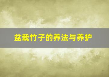 盆栽竹子的养法与养护