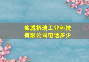 盐城拓瑞工业科技有限公司电话多少