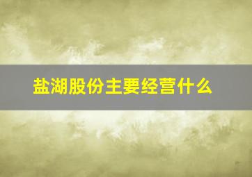 盐湖股份主要经营什么