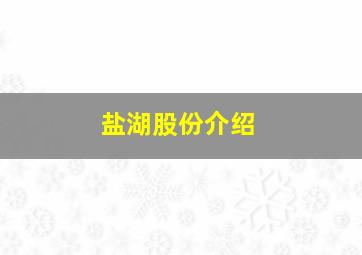 盐湖股份介绍