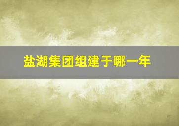 盐湖集团组建于哪一年