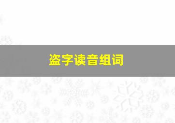 盗字读音组词