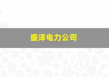 盛泽电力公司