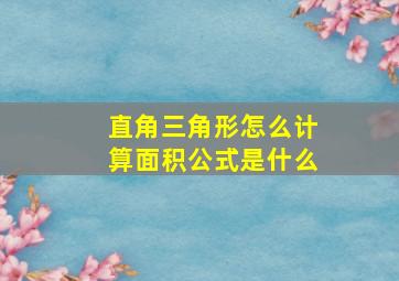 直角三角形怎么计算面积公式是什么