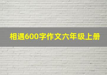 相遇600字作文六年级上册