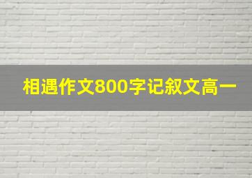 相遇作文800字记叙文高一