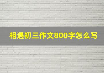 相遇初三作文800字怎么写