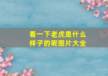 看一下老虎是什么样子的呢图片大全