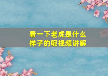 看一下老虎是什么样子的呢视频讲解