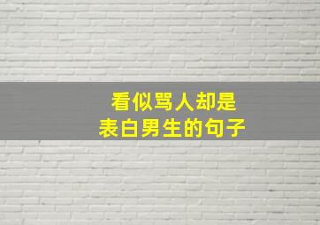 看似骂人却是表白男生的句子