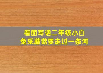 看图写话二年级小白兔采蘑菇要走过一条河