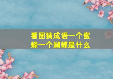 看图猜成语一个蜜蜂一个蝴蝶是什么