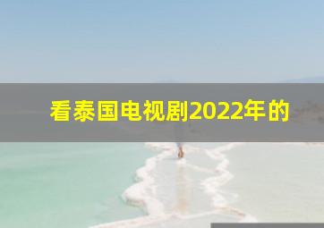 看泰国电视剧2022年的