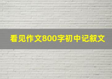 看见作文800字初中记叙文