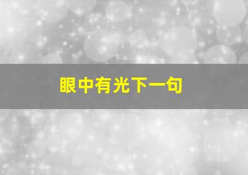 眼中有光下一句