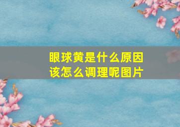 眼球黄是什么原因该怎么调理呢图片