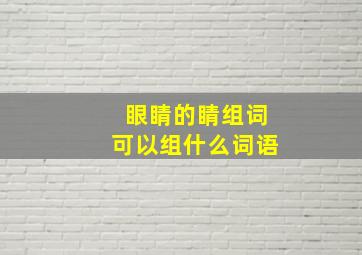 眼睛的睛组词可以组什么词语