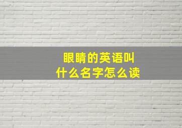 眼睛的英语叫什么名字怎么读