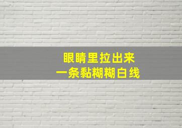 眼睛里拉出来一条黏糊糊白线