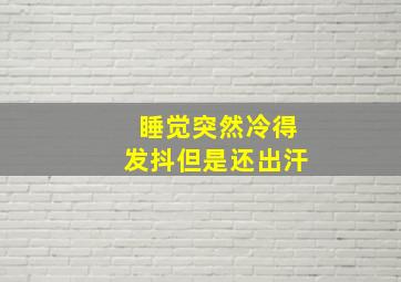 睡觉突然冷得发抖但是还出汗