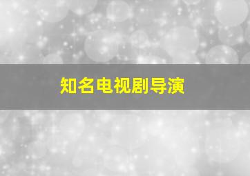 知名电视剧导演