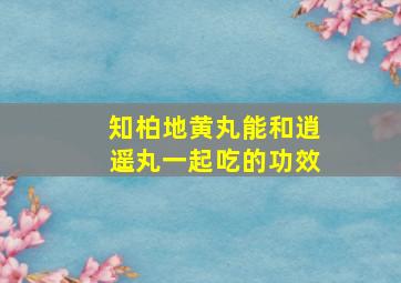 知柏地黄丸能和逍遥丸一起吃的功效