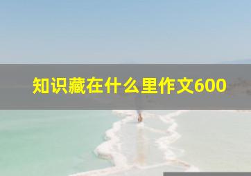 知识藏在什么里作文600