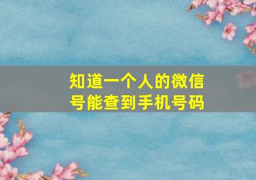 知道一个人的微信号能查到手机号码