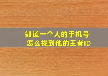 知道一个人的手机号怎么找到他的王者ID