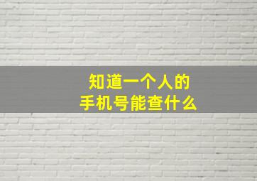 知道一个人的手机号能查什么