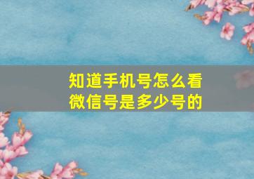 知道手机号怎么看微信号是多少号的