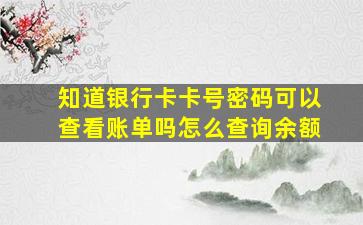 知道银行卡卡号密码可以查看账单吗怎么查询余额