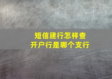 短信建行怎样查开户行是哪个支行