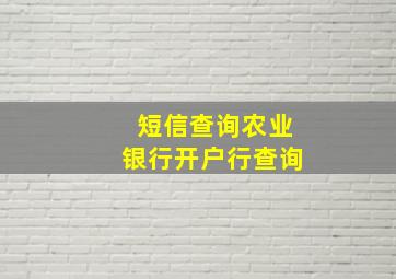 短信查询农业银行开户行查询