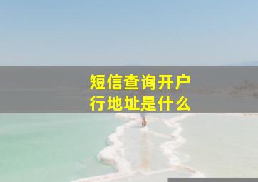 短信查询开户行地址是什么