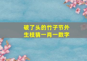 破了头的竹子节外生枝猜一肖一数字