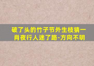 破了头的竹子节外生枝猜一肖夜行人迷了路-方向不明