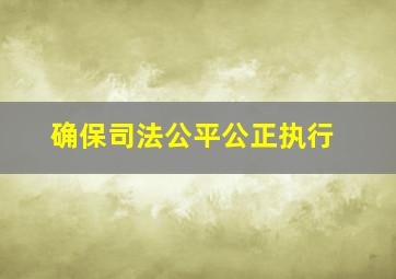 确保司法公平公正执行