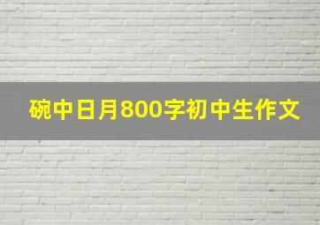 碗中日月800字初中生作文