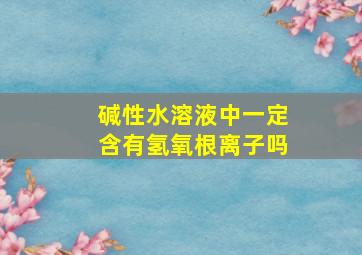 碱性水溶液中一定含有氢氧根离子吗