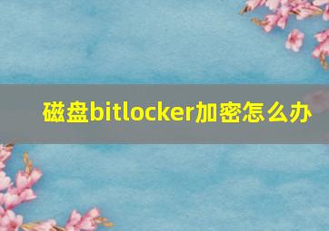 磁盘bitlocker加密怎么办