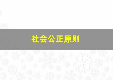 社会公正原则