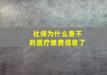 社保为什么查不到医疗缴费信息了